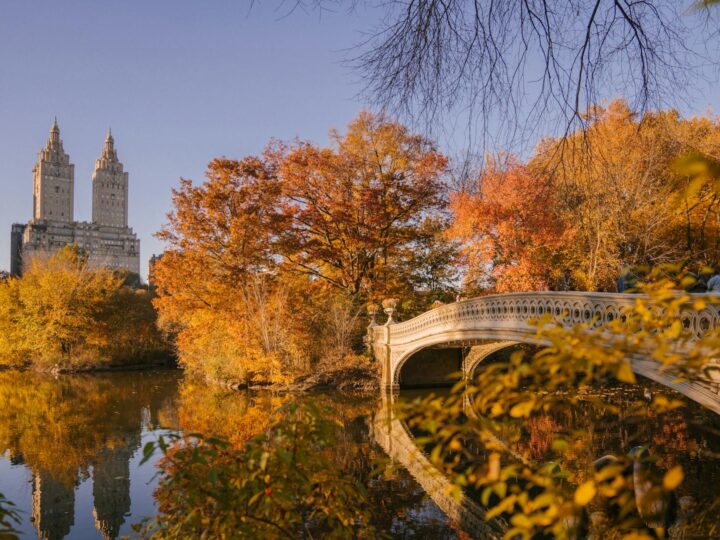 Central Park Simion Brnuiu